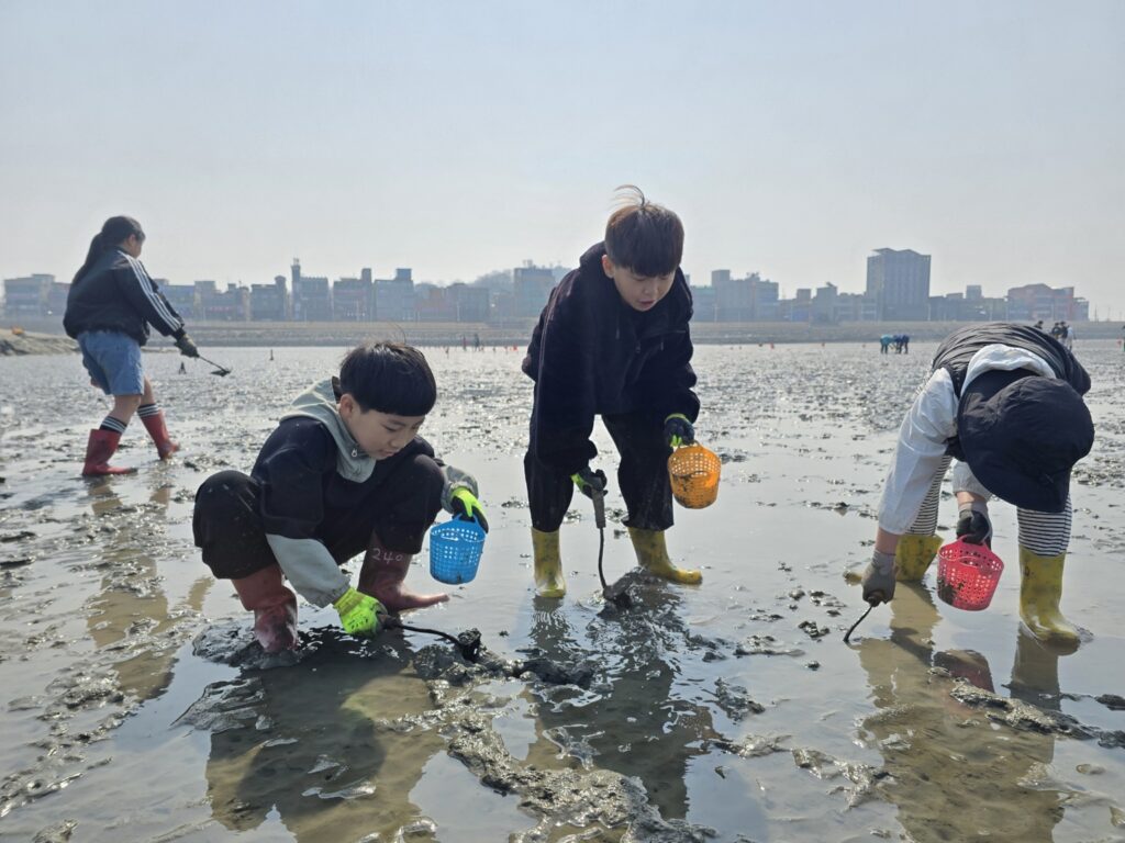 올여름, 오이도 어촌휴양마을서…조개캐기 체험 인기