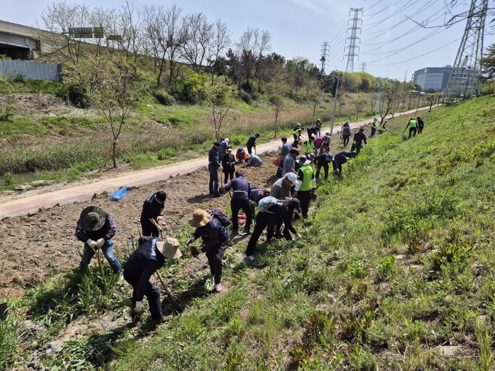 지구의 날 맞아 시흥천 생태계 교란식물 제거 활동