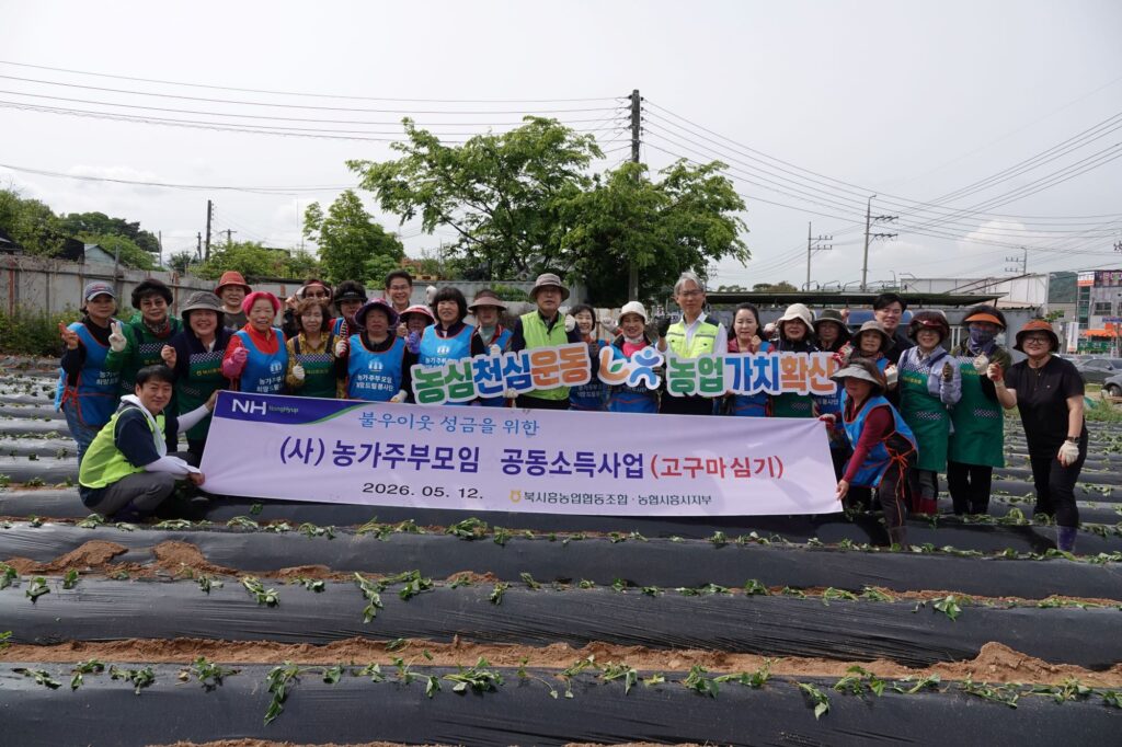 시흥시 농협, 고구마심기 일손돕기 전개…수익금은 이웃사랑 실천
