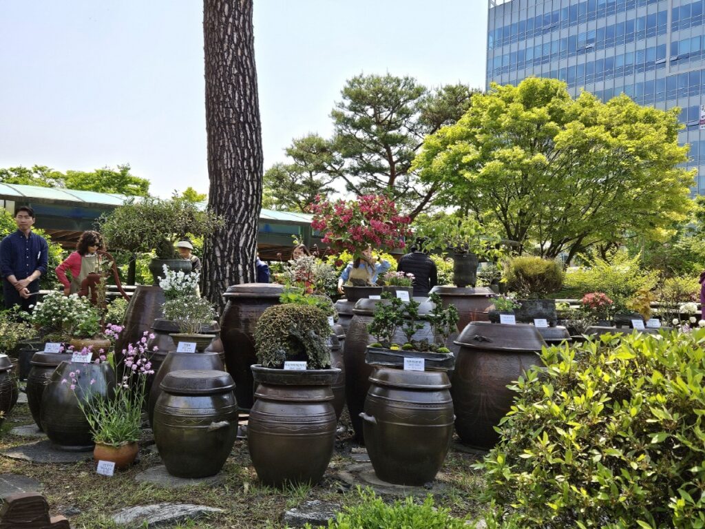 시흥시 자생식물 전시회 20주년…우리 꽃의 매력 선보인다